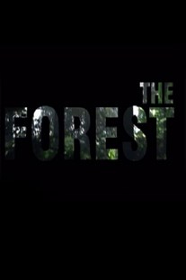 Скачать торрент The Forest